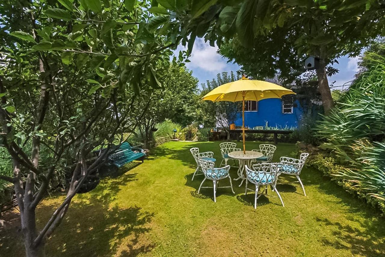 Stayvista At Violet Hill With Bonfire, Gazebo & Hill View Shimla Exterior photo